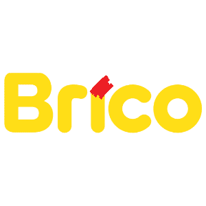 brico-logotype